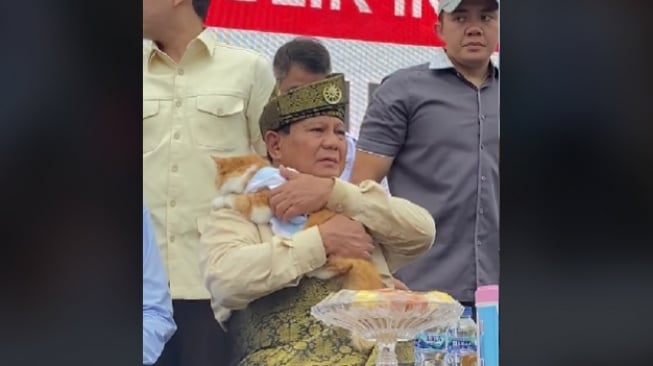 Definisi Cat Lovers, Prabowo Langsung Gendong Kucing Warga pada waktu Kampanye di tempat di Batam
