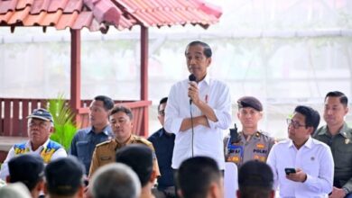 Jokowi lalu Keluarganya Digugat ke PTUN Dugaan Nepotisme, PDIP: Bukan Dugaan Lagi Tapi Sudah Terlaksana