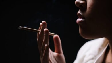 Apakah Rokok Herbal Lebih Aman dari Rokok Biasa?
