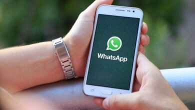WhatsApp Uji Coba Fitur Tema pada Aplikasi, Kapan Bakal Rilis?