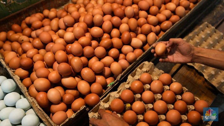 4 Manfaat Telur Rebus yang digunakan mana Tak Banyak Orang Sadari