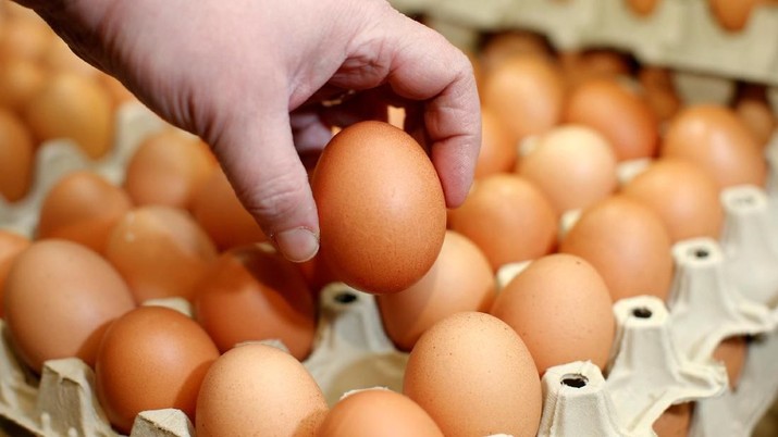 Doyan Makan Telur Bikin Kolesterol Tinggi? Cek Faktanya!