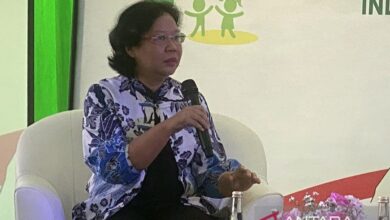 IDAI: MPASI buatan sendiri lebih besar banyak baik dari yang mana digunakan dijual ke jalan