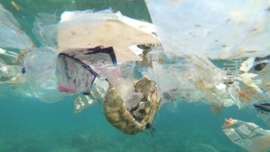 5 Negara Penghasil Sampah Laut Terbesar di tempat area Dunia, RI Termasuk