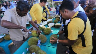 Negara Nusantara bidik ekspor durian senilai 8 miliar dolar Negeri Paman Sam ke China