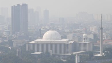IDAI soroti dampak buruk polusi udara terhadap meningkat kembang anak