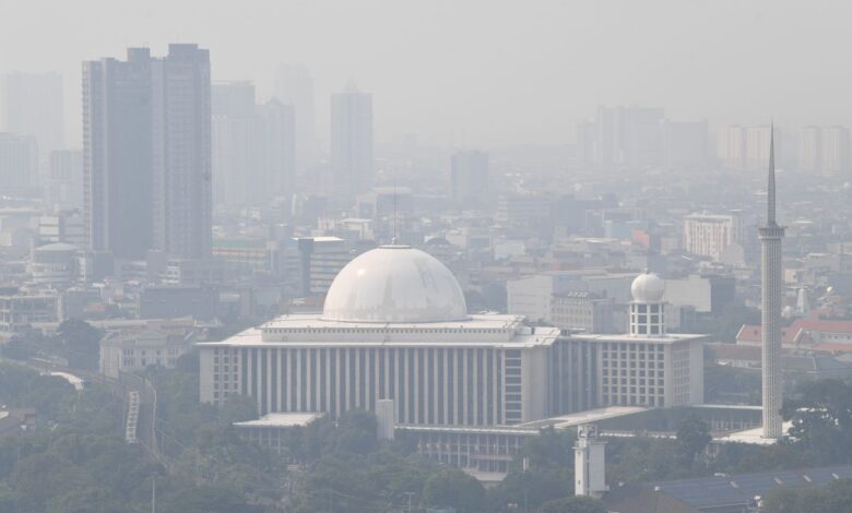 IDAI soroti dampak buruk polusi udara terhadap meningkat kembang anak