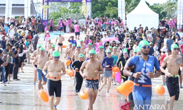 300 partisipan ramaikan Festival Open Water Swimming Nusantara