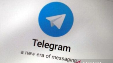 Dirjen Aptika sebut Telegram telah ada respons penghapusan judi online