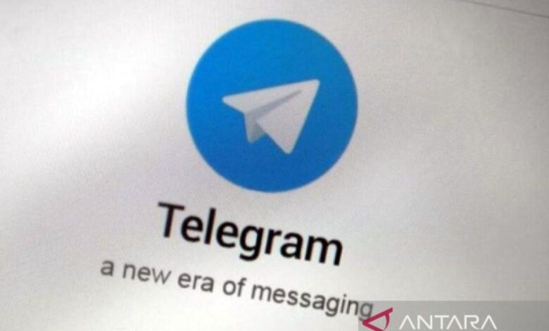 Dirjen Aptika sebut Telegram telah ada respons penghapusan judi online